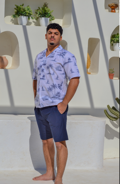 The Summer Set ( مخزنs11 )
